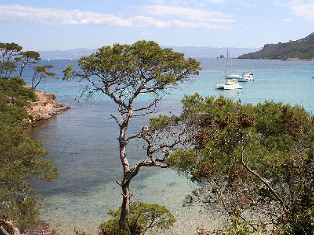 183 ILE DE PORQUEROLLES -4_000019.jpg